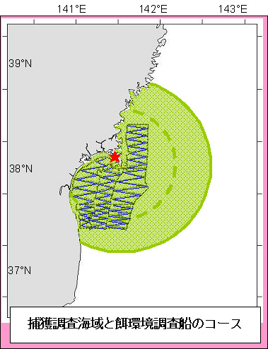 �����ΏۊC��