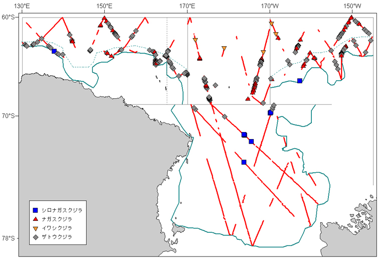 �V���i�K�X�N�W���A�i�K�X�N�W���A�C���V�N�W���A�U�g�E�N�W���̔����ʒu