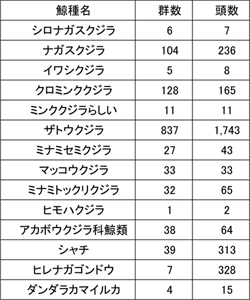 �����Q��