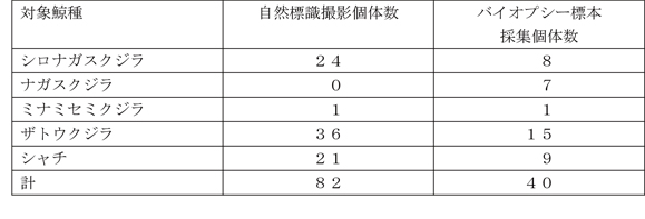 ���R�W����