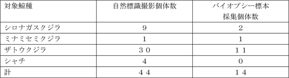 ���R�W����