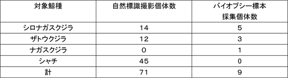 ���R�W����