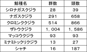 �����Q����