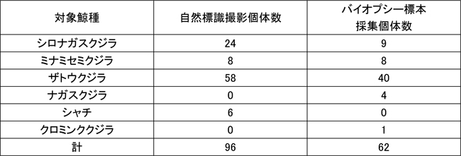 ���R�W����