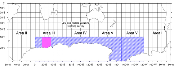 �����C��}