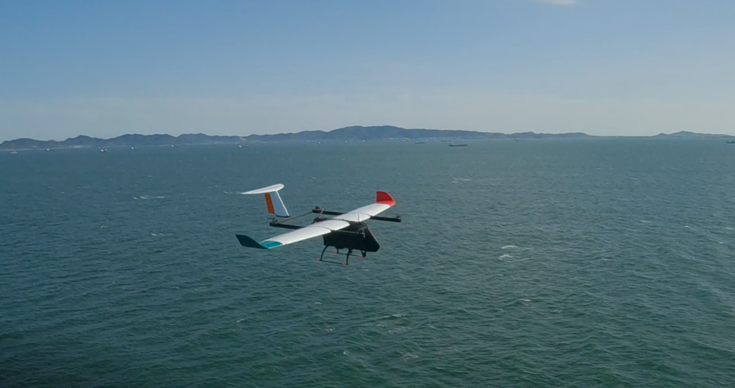 ��s���̔�