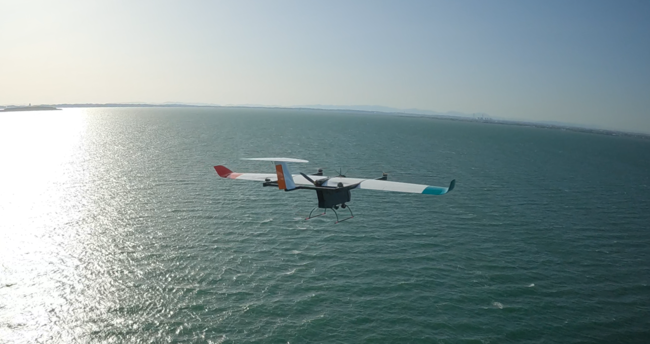 ��s���̔�