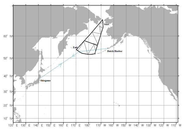 �����C��}